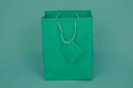 Medium Shopping Bags #8053